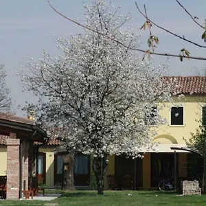 Particolari Del Brenta Italien